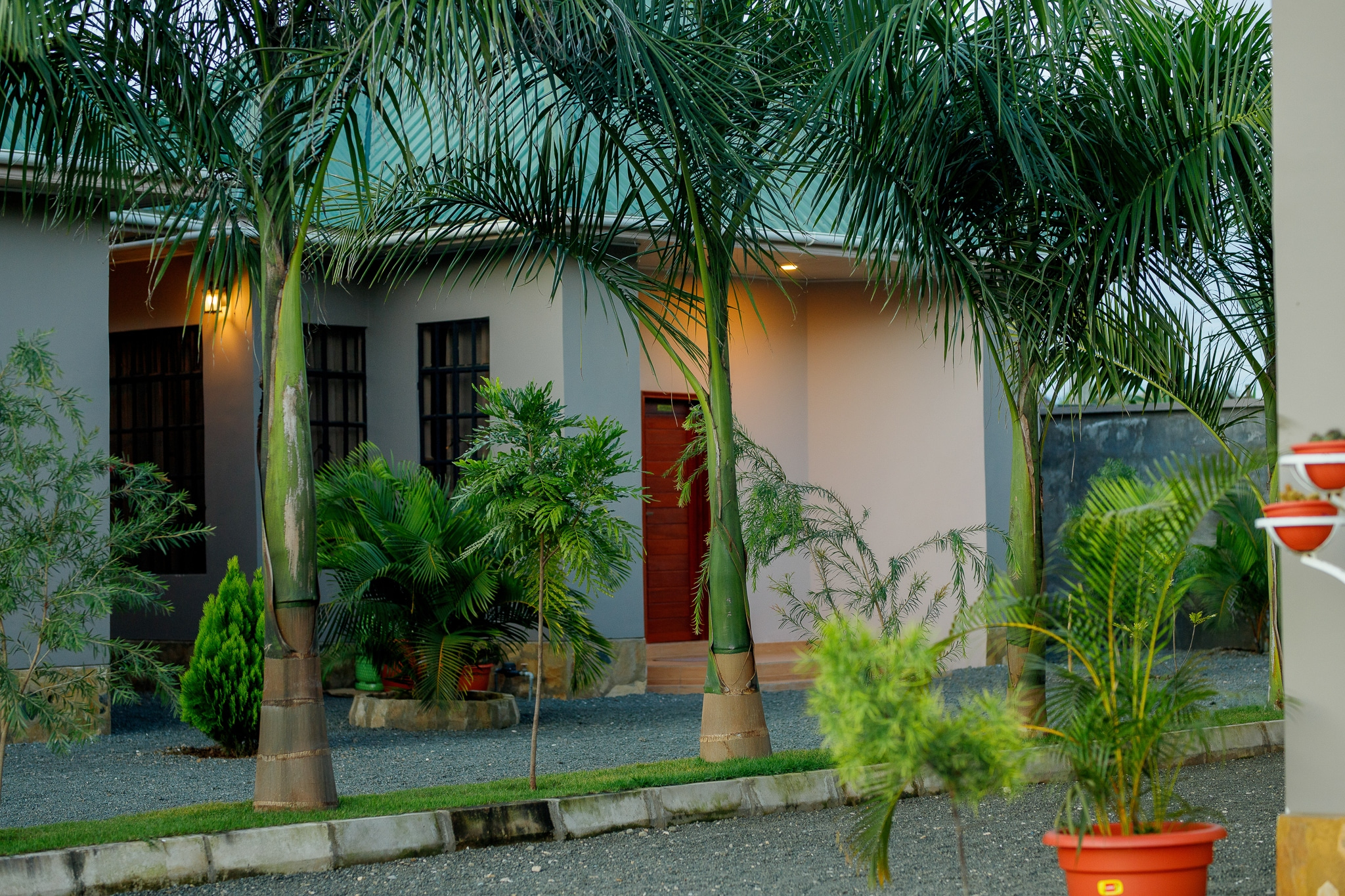 Tropical landscaping with palm trees